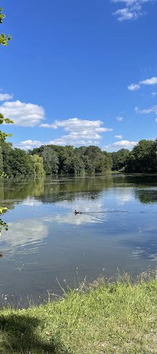 Stadt Park-开姆尼茨