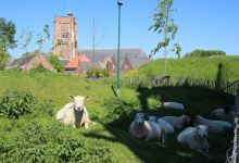 Martinuskerk Woudrichem景点图片