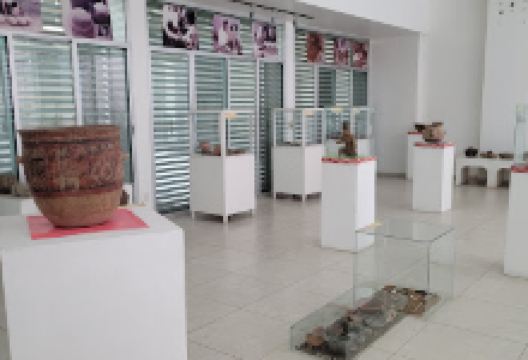 Museo Senén Mexic景点图片
