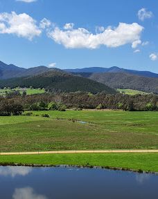 The Horn Picnic Area-芒特巴弗法洛