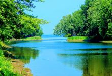 Thatch Road Trail景点图片