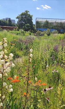 Botanical Garden-维尔茨堡