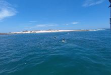 Monkey Head Adventures景点图片