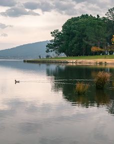 Canberra Nara Peace Park-亚拉伦拉