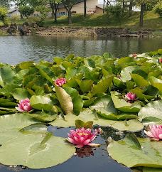 Shichinohemachi Central Park-七户町