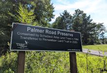 Palmer Road Preserve景点图片