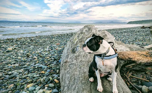 Joseph Whidbey State Park