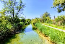 Schwerzenbach lake park景点图片