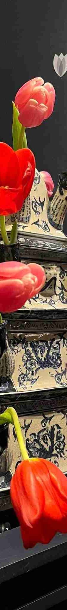 阿姆斯特丹郁金香博物馆-阿姆斯特丹-lynn wien