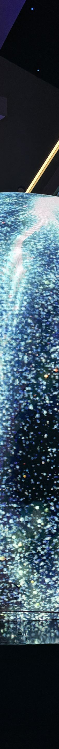 拉斯维加斯-YoYo_0F4N7H5K