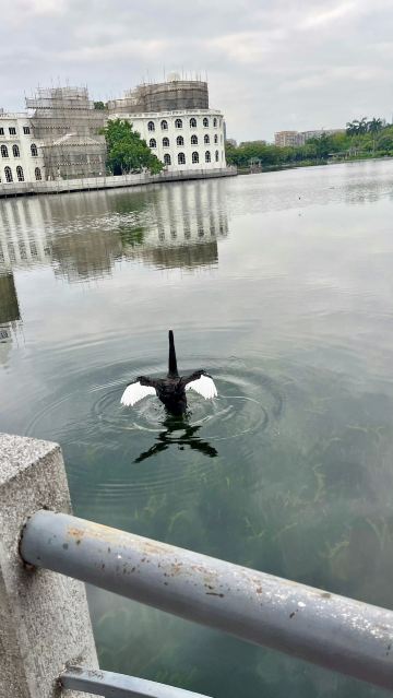 流花湖公园景点图片 14