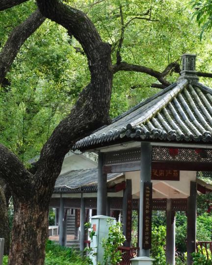 荔湾湖公园景点图片 22