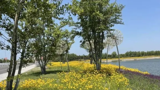 中央公園