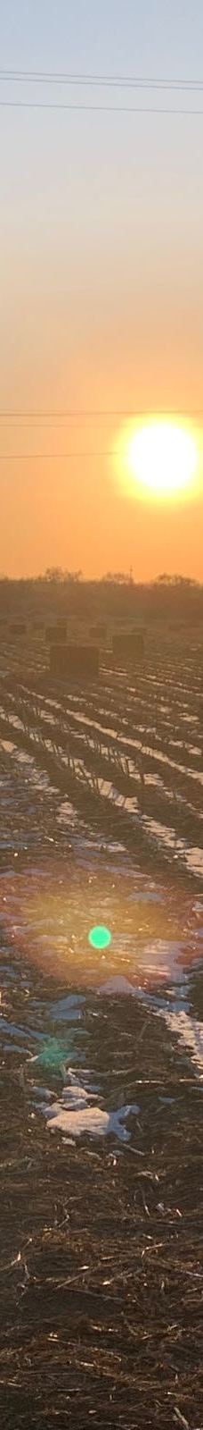 八里城遗址-肇东