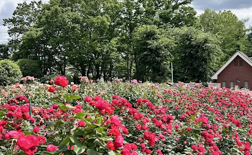 與野公園