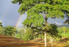 Granja La Santa Uraba景点图片