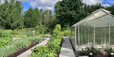Botanical Garden, University of Oulu