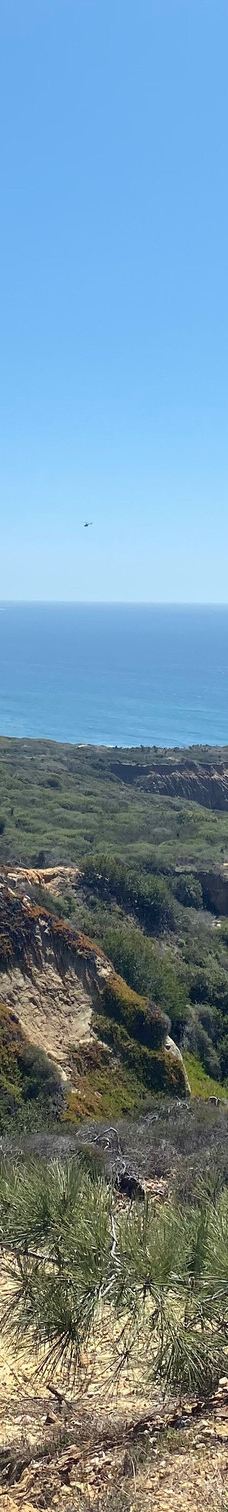 多利松国家自然保护区-佐拉