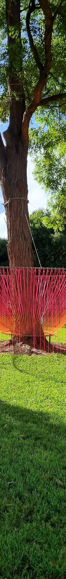 卧龙岗植物园-Keiraville