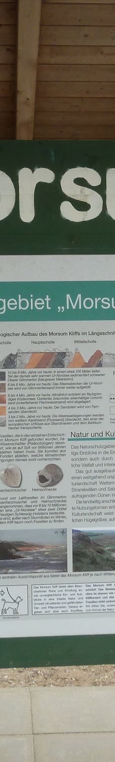 Morsum-Kliff-摩尔苏姆