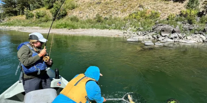 Jackson Hole Anglers
