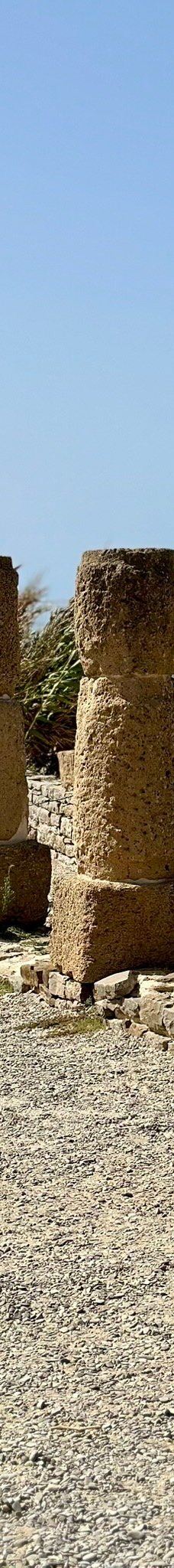 巴埃洛克劳狄亚-塔里法