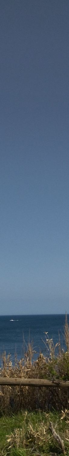 尼御前岬-加贺市