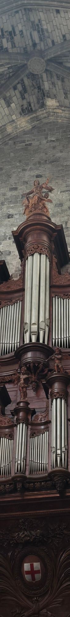 Narbonne Cathedral-纳巴达