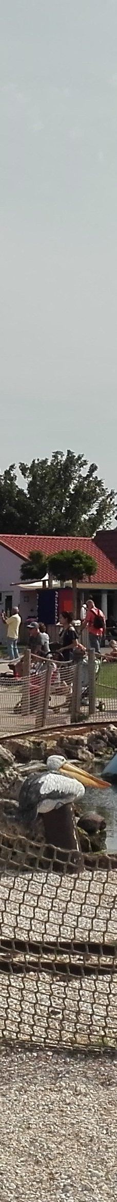 Family park Drievliet-海牙