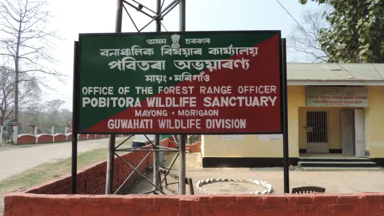 Pobitora Wildlife Sanctuary