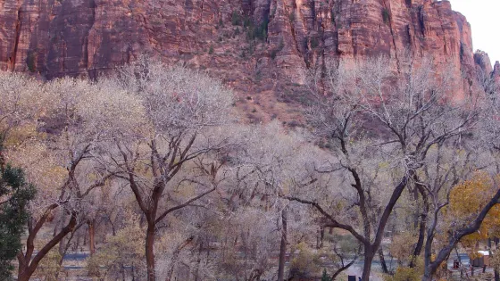 Kayenta Trail