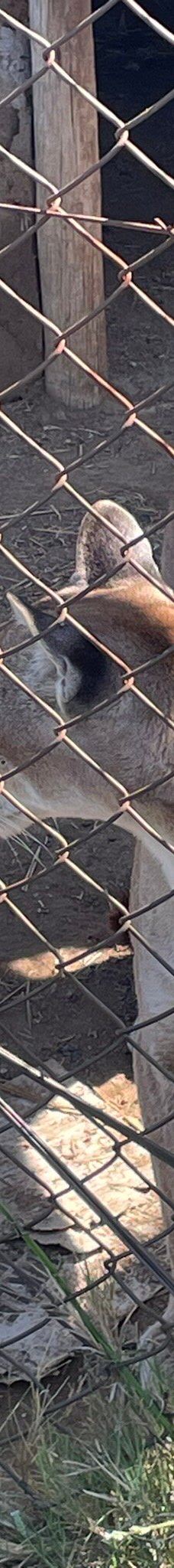 Predator World-Bojanala