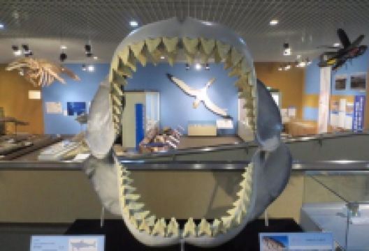 岩手县立博物馆景点图片