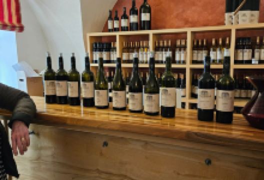 Weingut Feiler-Artinger景点图片