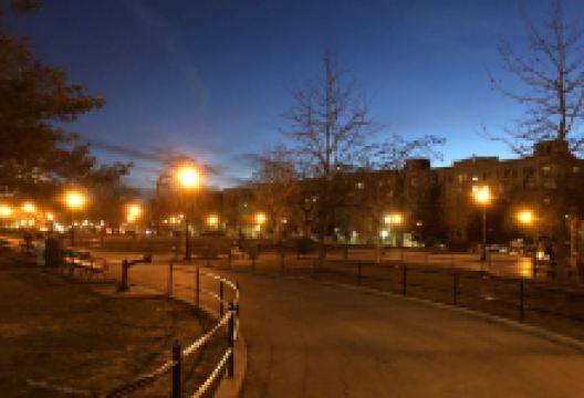 Joyce Kilmer Park景点图片