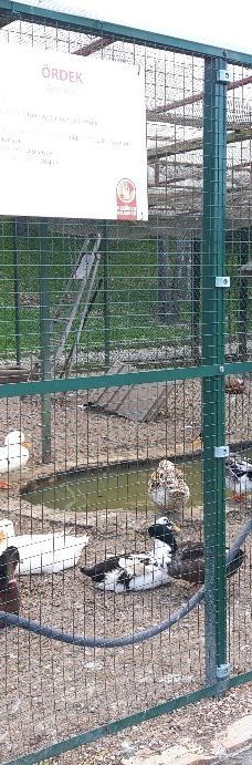 Ihlamur Vadisi-安卡拉