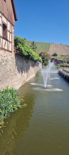 里屈埃维-阿尔萨斯