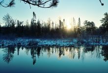 Upper Manistee River State Forest Campground景点图片