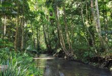 Bucca Bucca Creek景点图片