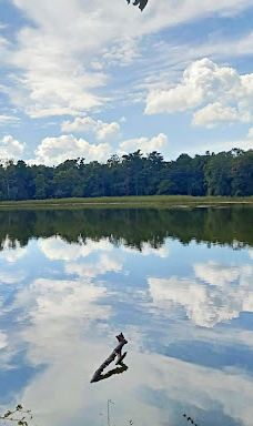 Gadchiroli Lake-加德奇罗利