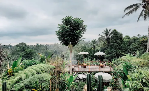 Hidden Garden Agriculture