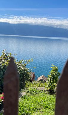 Terrasses viticoles de Lavaux-Lavaux-Oron District