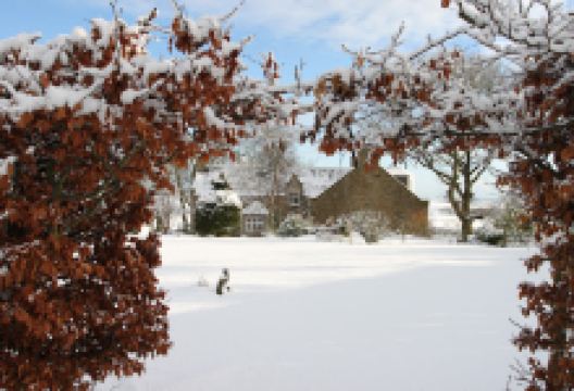 Tolquhon Gallery景点图片