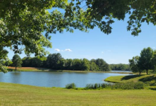 Lakeview Park景点图片