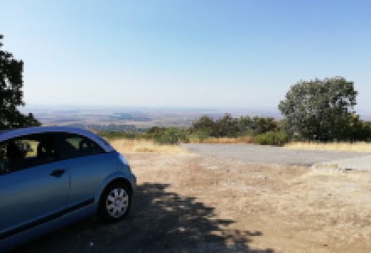 Pomnik Wyzwolenia景点图片