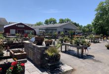 Fairview Gardens购物图片