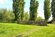 Merton Woodlands景点图片