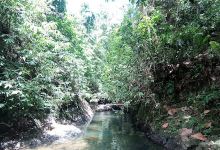 Air Terjun Way Pelimbang景点图片