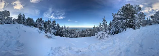 Arbutus Grove Provincial Park