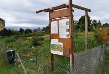 Eco-jardin de la Vogéaz, Morges景点图片